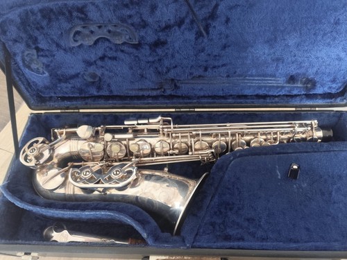 Buffet crampon professional - crampon,